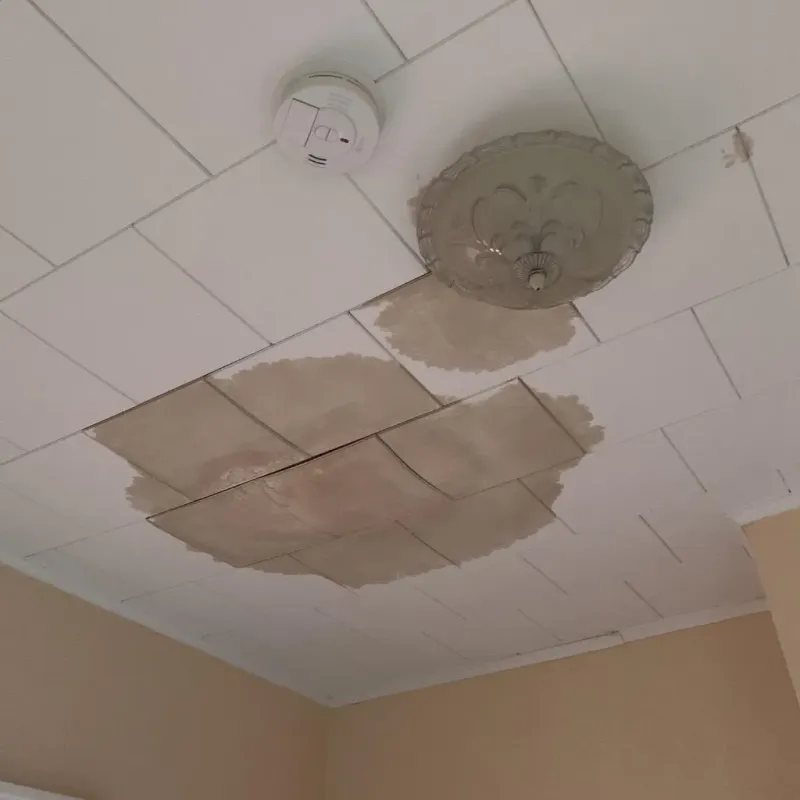 Ceiling Water Damage Repair in Sergeant Bluff, IA